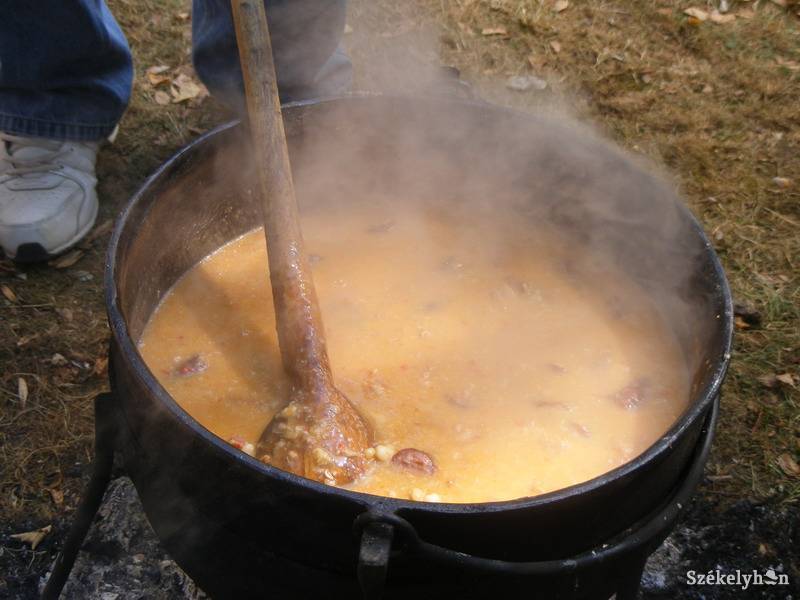 •  Fotó: Both Ildikó