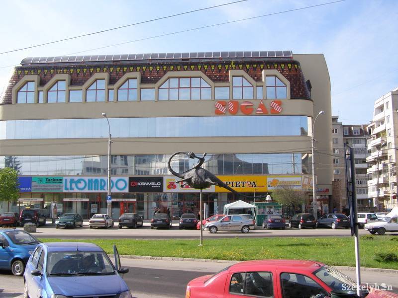 •  Fotó: Both Ildikó