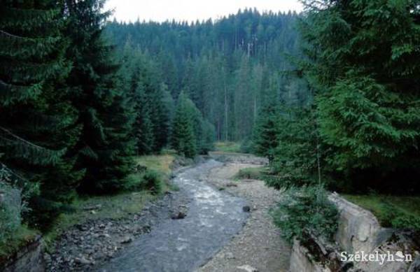 •  Fotó: Zsók Enikő