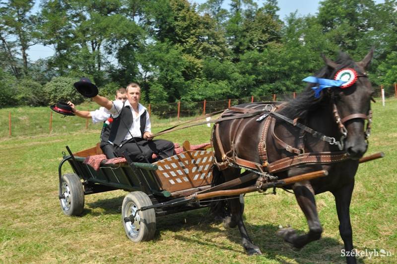 •  Fotó: Both Ildikó