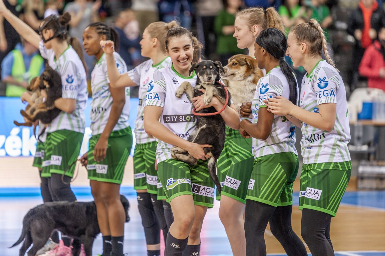 &bullet;  Fotó: Pinti Attila