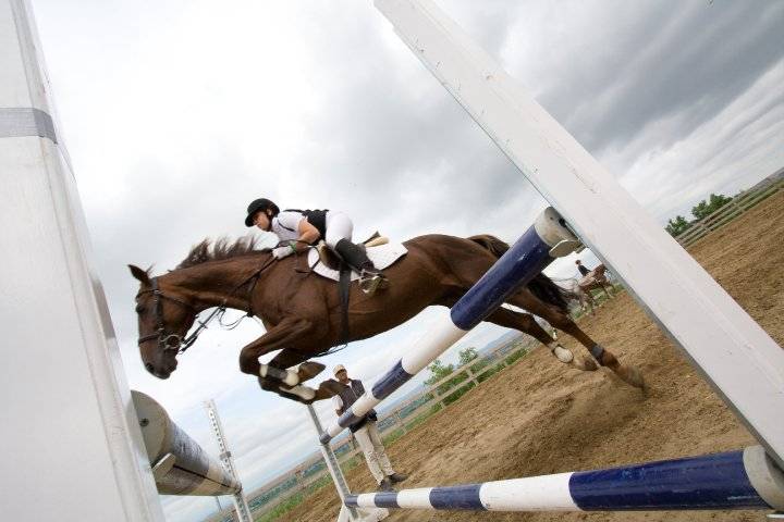 Háromszéki díjugrató érmek Nagyszentmiklóson