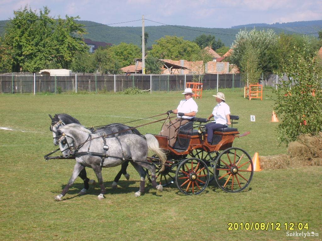 •  Fotó: Zsók Enikő