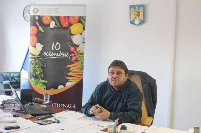 A román termék napja