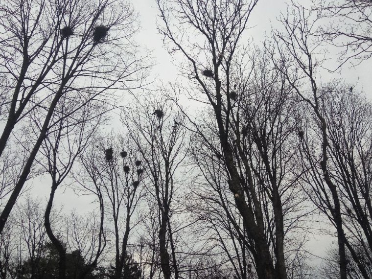 Csöbörből vödörbe?