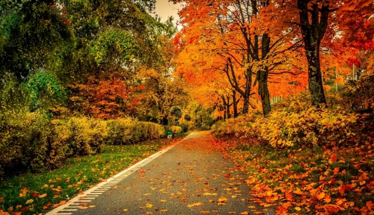 Lassan véget ér a vénasszonyok nyara