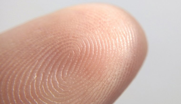 Miért van ujjlenyomatunk?