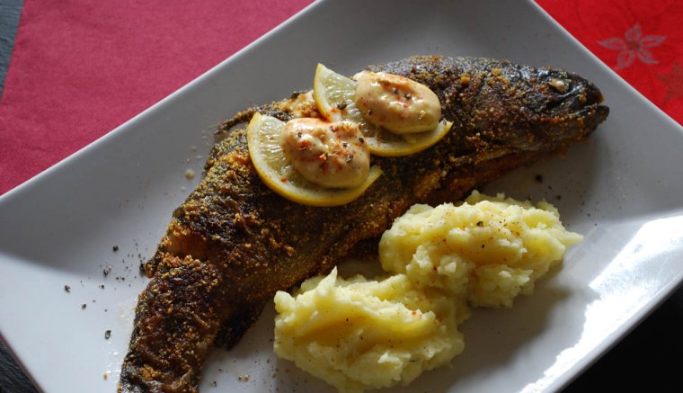 Gondolatok a konyhában - Pisztrángos 2.