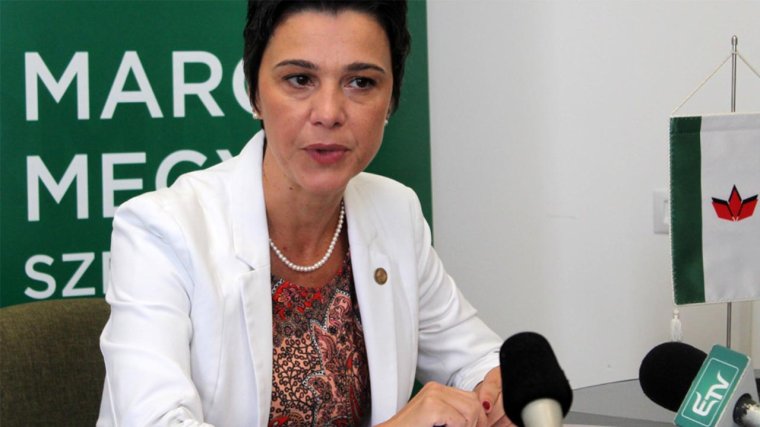 Sürgősségi labirintus