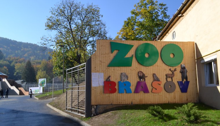 Aki az állatokat szereti...