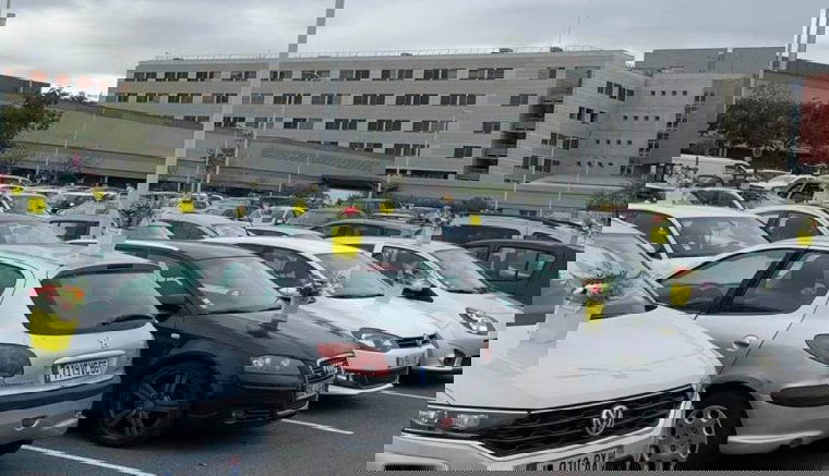 Csokrok százaival lepte meg az egészségügyi dolgozókat egy csődbe ment virágárus