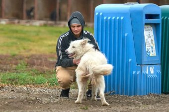 Mi legyen a háziállatokkal a gazdik elhunyta után?
