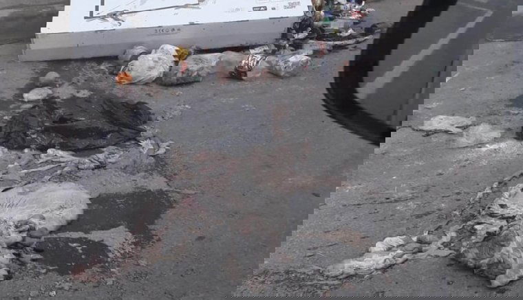 Belek, belsőségek az úton