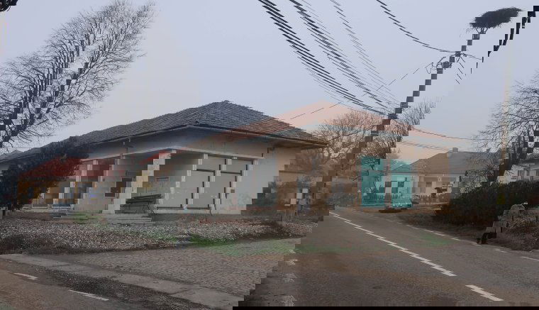 Köpecen van tennivaló