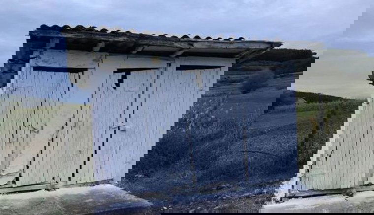 Fityisz az oktatásnak