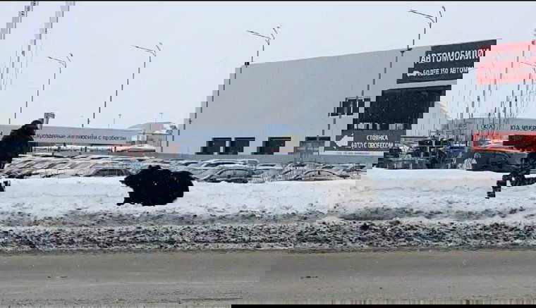 Megállt a forgalom egy orosz városban, mert mindenki egy férfit üldöző medvét figyelt