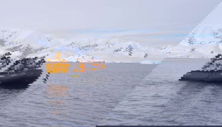 A turisták csónakjára menekült egy pingvin a kardszárnyú delfinek elől