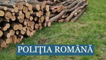 Falopás Biharban: 50 ezer lejnyi tüzelőt koboztak el egy fuvarostól