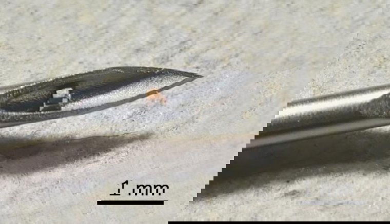 Tényleg megcsinálták az emberbe injektálható mikropchipet, de nem azért, amire elsőre gondol