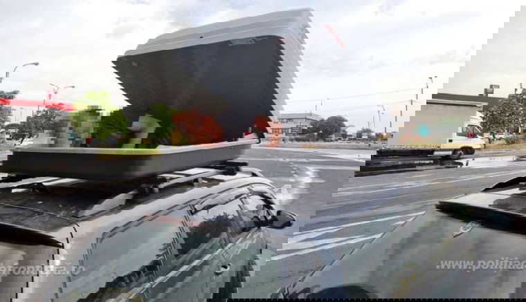 Személyautó tetőcsomagtartójából került elő egy határsértő a bolgár-román határon