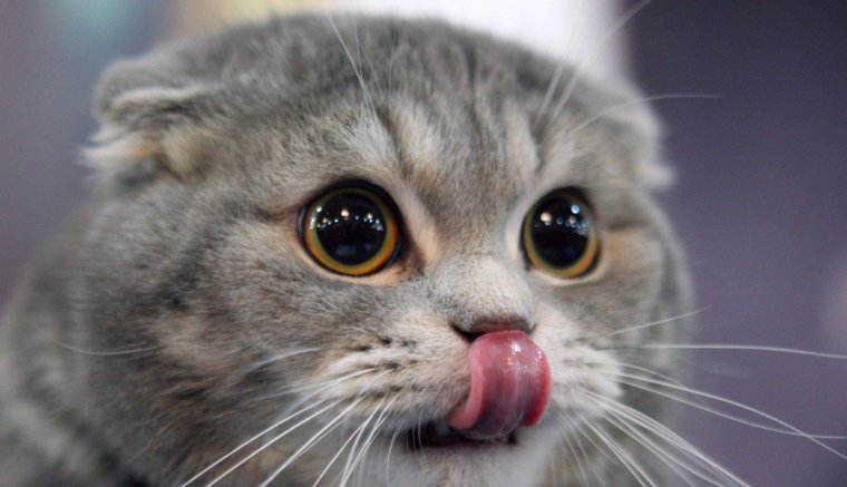 Több mint öt év börtönt kapott a 