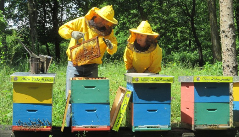Egyre nagyobb az érdeklődés az egyetlen horvátországi 