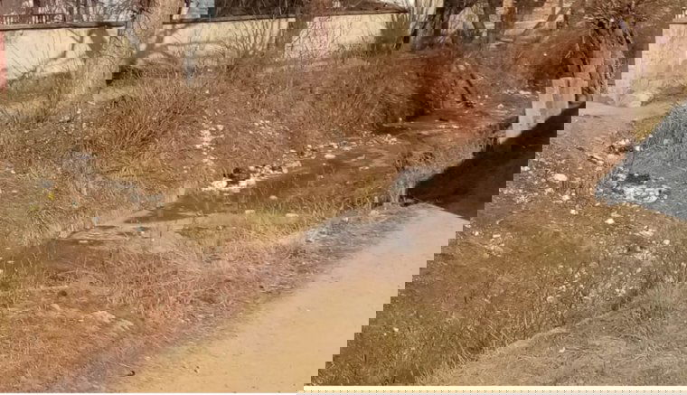 Ismét megbírságolták