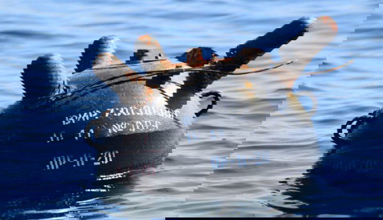 Tengeri aknát észleltek és semmisítettek meg a román haditengerészek