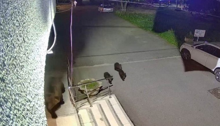 Hívja mindenki a 112-őt