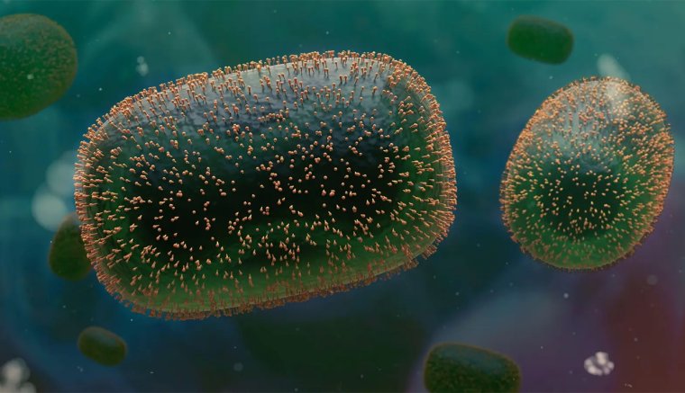 Megjelent a majomhimlő Romániában