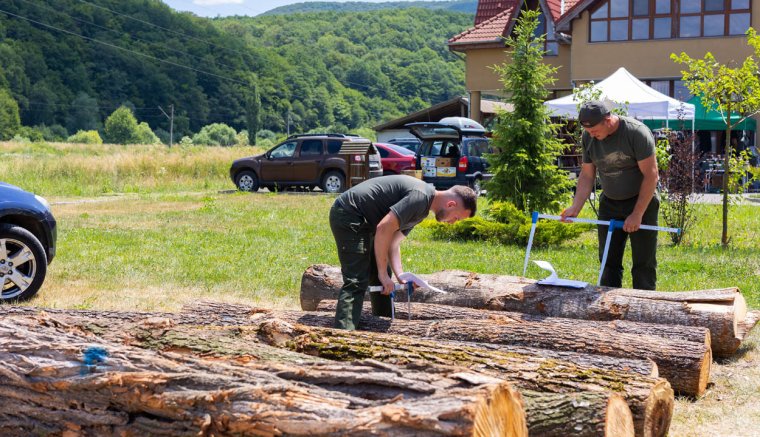 Erdőt, egészséget!