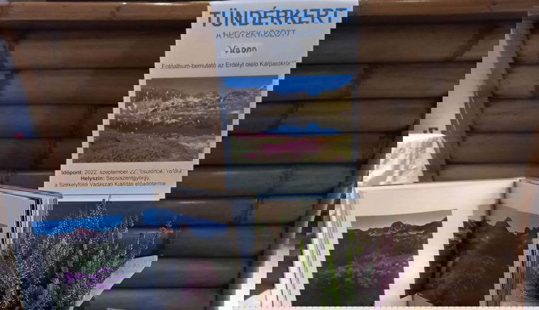 A Tündérkert újra kitárul