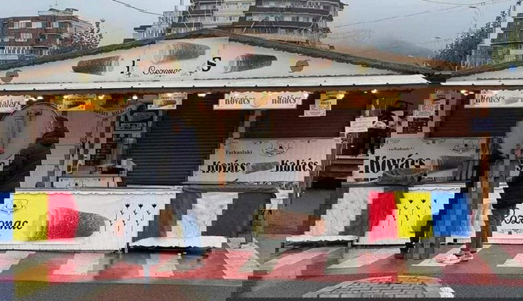 Román zászlókkal takartatta le a magyar feliratokat Nagybánya polgármestere