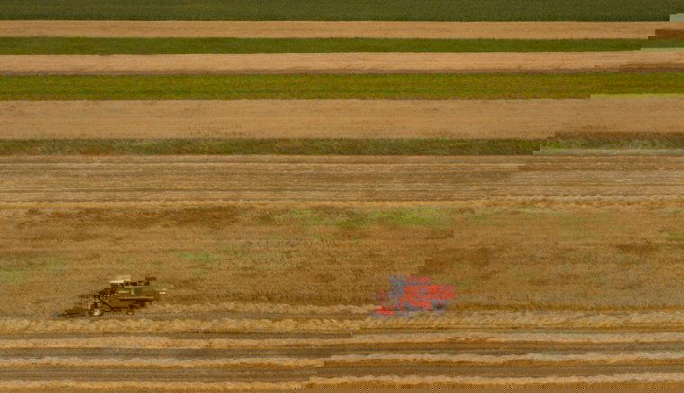 Elkezdte az APIA a 2022-es mezőgazdasági támogatások előlegeinek kifizetését