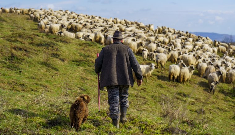 Támogatást igényelhetnek a hegyvidéki gazdálkodók