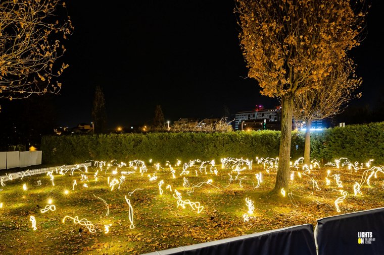 Mesés jelenség az Erzsébet-parkban - szentjánosbogár-rajzást utánzó fényinstallációt tesz közszemlére a város