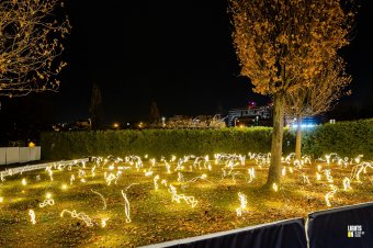Mesés jelenség az Erzsébet-parkban - szentjánosbogár-rajzást utánzó fényinstallációt tesz közszemlére a város