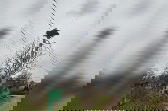 Fészkére ült az első háromszéki gólya