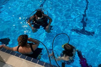 Ingyenes búvármerülés karácsonyra