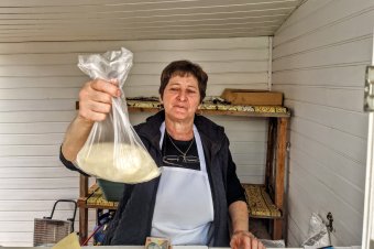 Bekukkantottunk a kézdivásárhelyi piacra