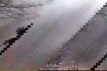 Minden fotóhoz egy-vers társul