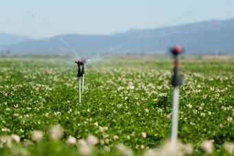 Aszály elleni küzdelem: a megyei tanács támogatja a gazdákat az öntözésben