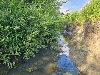 Nyolc patak száradt ki Sepsiszentgyörgy mellett  – aggasztó jelek a természet felől