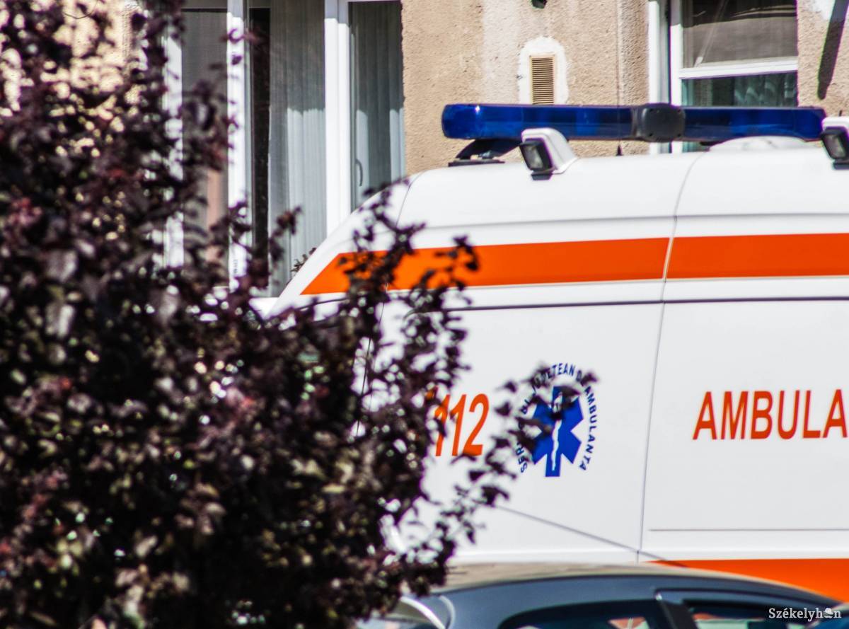 •  Fotó: Tamás Attila