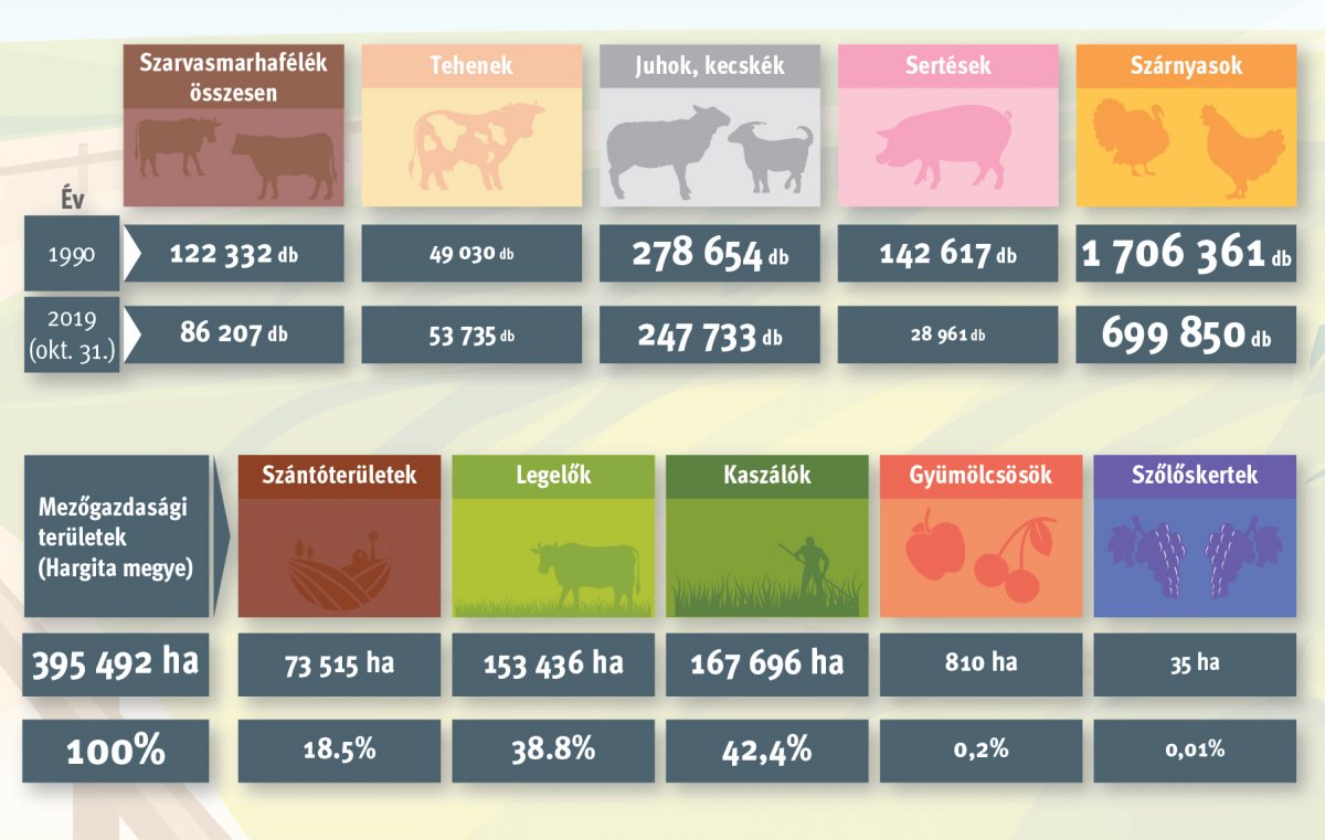 A tehénállomány mérete ingadozott legkevésbé Hargita megyében az elmúlt évtizedekben 