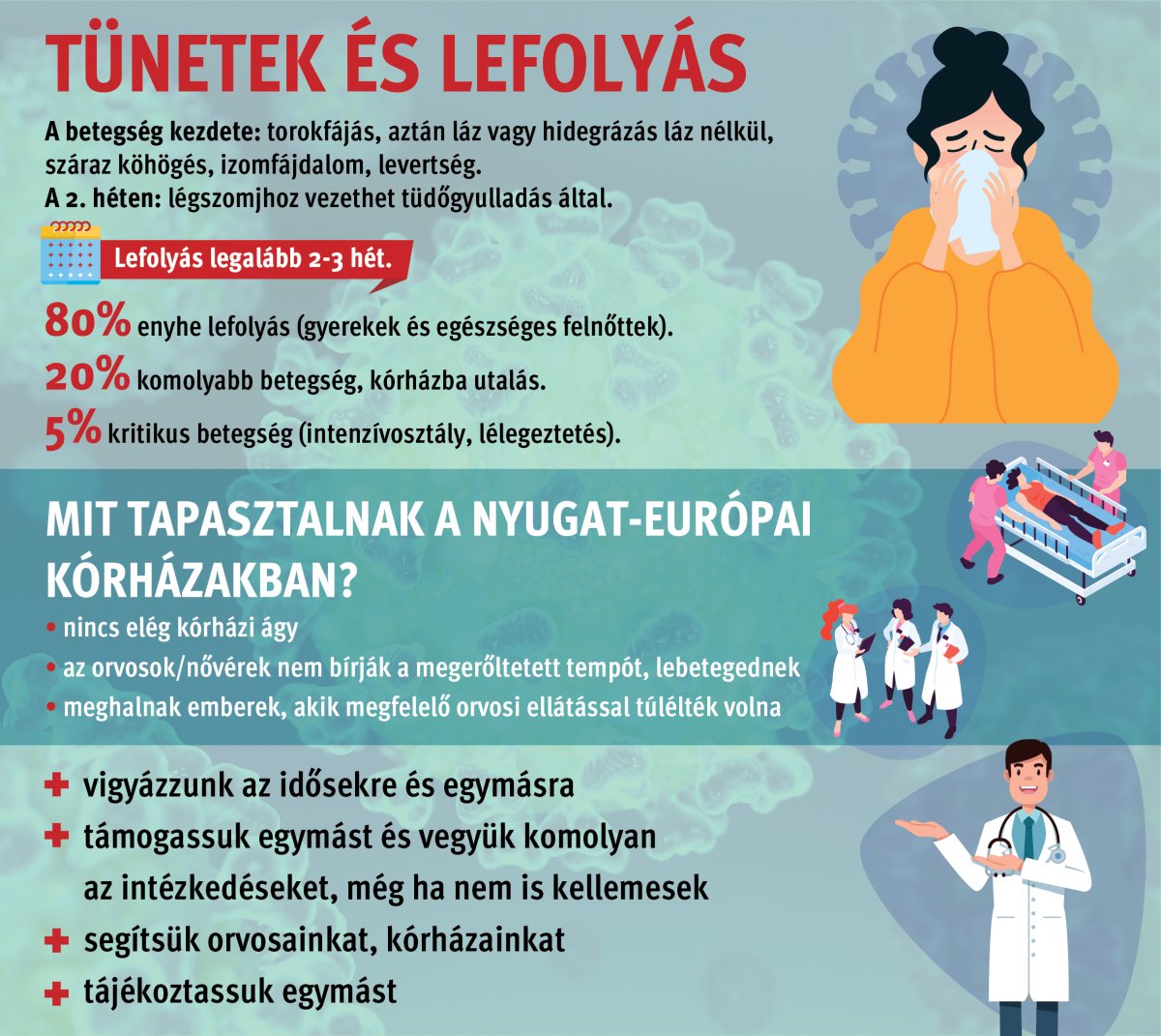 Infografika: Tóth Szilárd/Székelyhon 