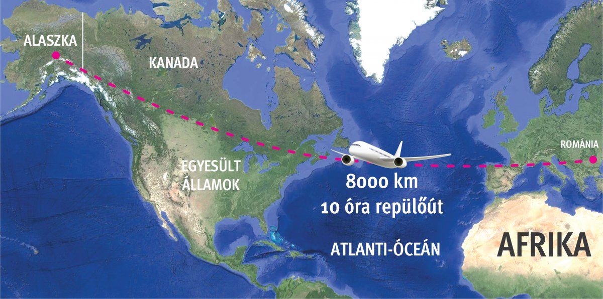Infografika: Tóth Szilárd 