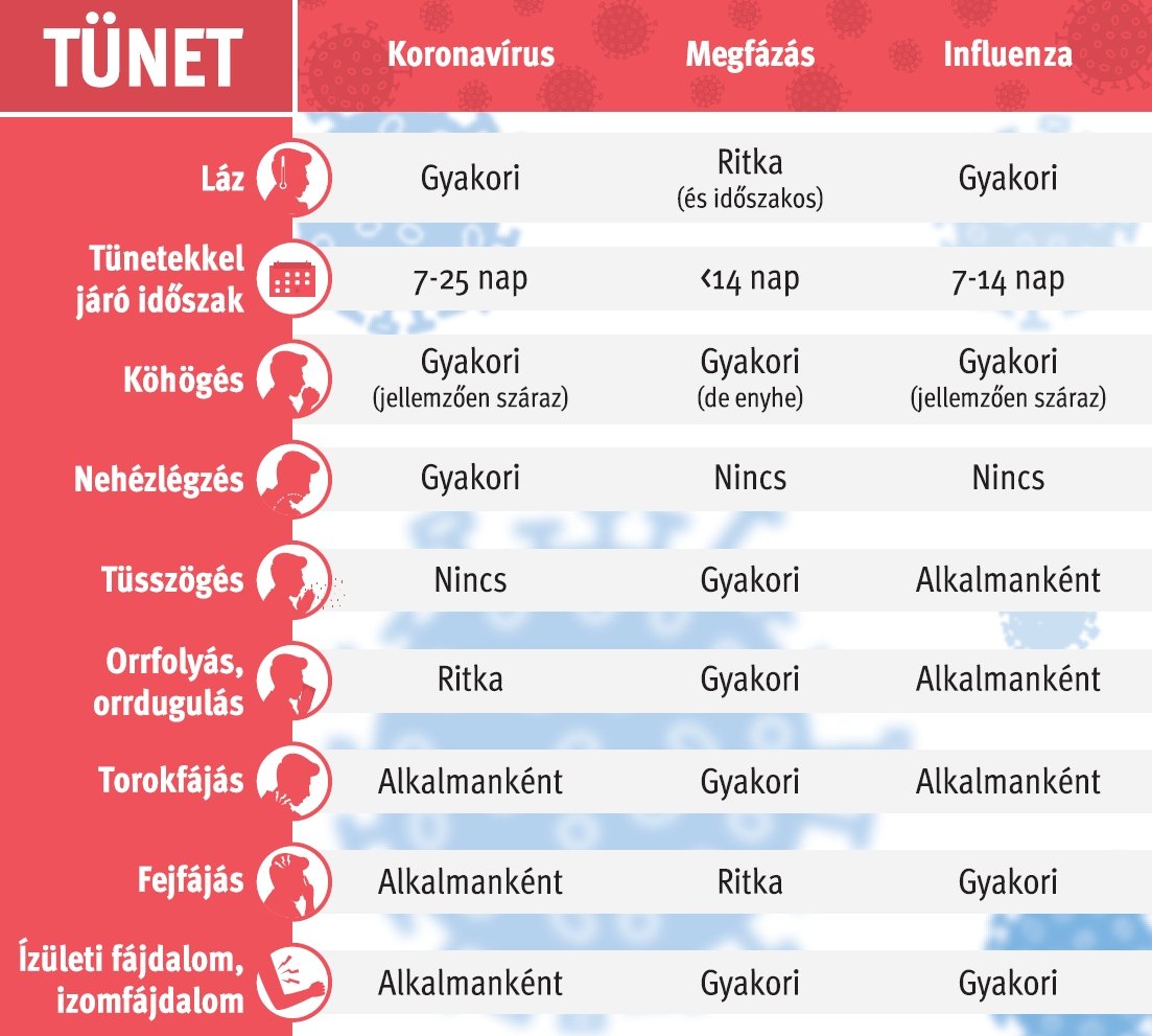 • Forrás: Webbeteg.hu • Infografika: Tóth Szilárd 