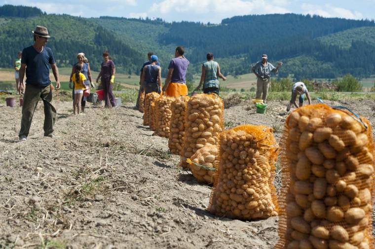 Feketézők célkeresztben