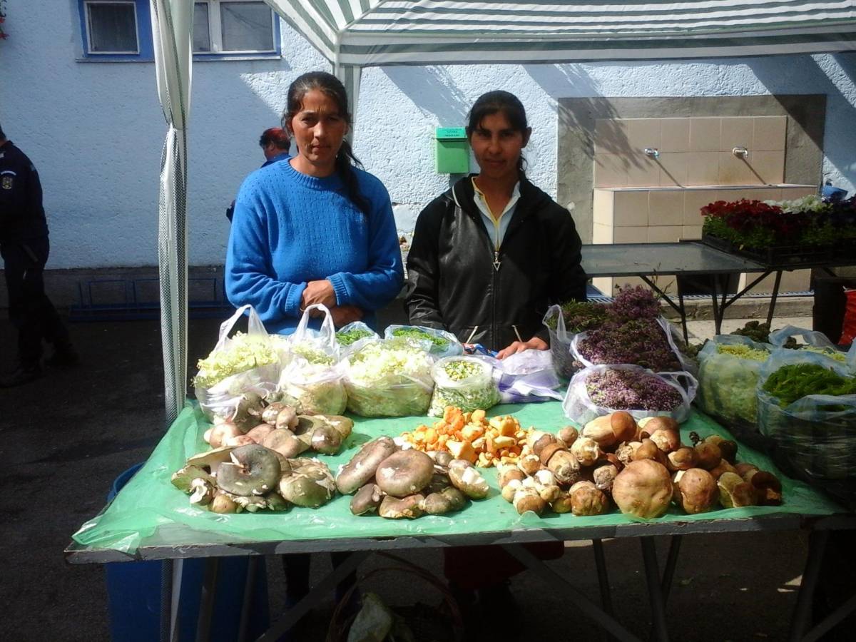 •  Fotó: Szabó Enikő